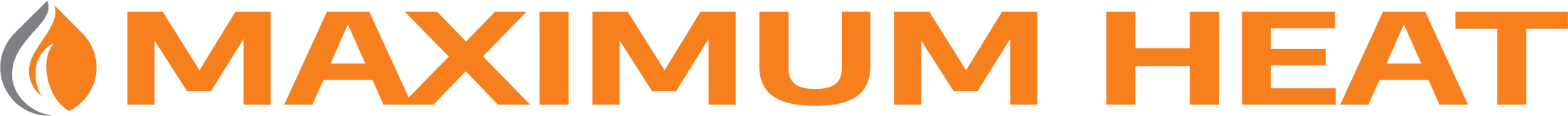 website logo